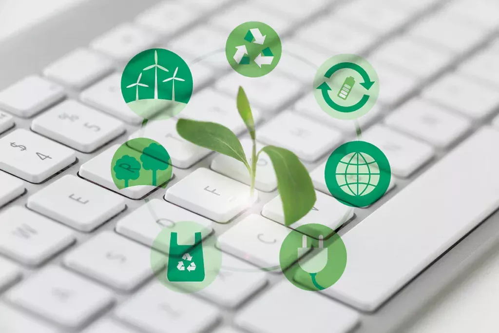 a green plant growing out of a keyboard